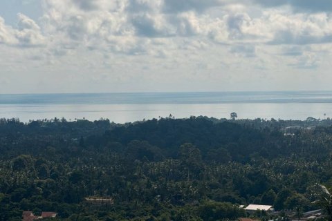Land in Surat Thani, Thailand № 133034 - photo 5
