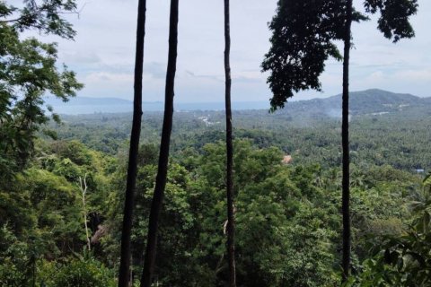 Terreno en Surat Thani, Tailandia № 132518 - foto 3
