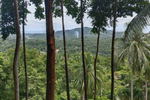 Terreno en Surat Thani, Tailandia № 132518 - foto 7