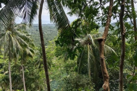 Terreno en Surat Thani, Tailandia № 132518 - foto 8