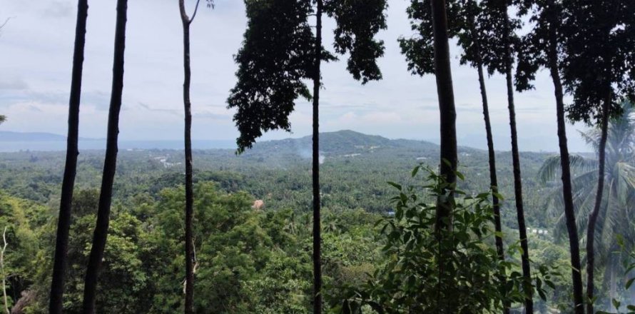 Terreno en Surat Thani, Tailandia № 132518