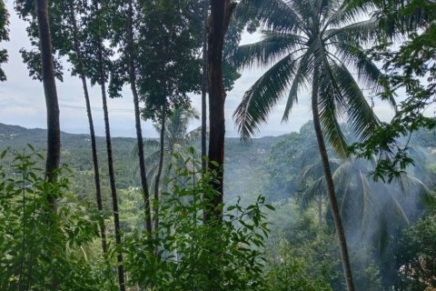 Terreno en Surat Thani, Tailandia № 132518 - foto 5