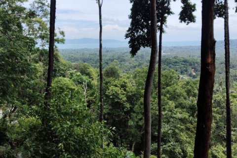 Terreno en Surat Thani, Tailandia № 132518 - foto 4