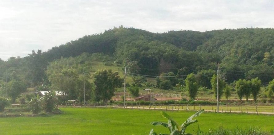 Terreno en Chiang Rai, Tailandia № 119748