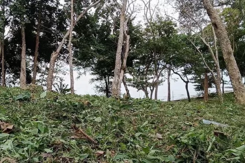 Terreno en Phuket, Tailandia № 131928 - foto 5