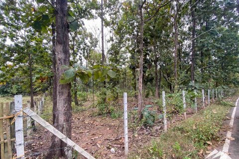 Terreno en Chiang Mai, Tailandia № 122827 - foto 2
