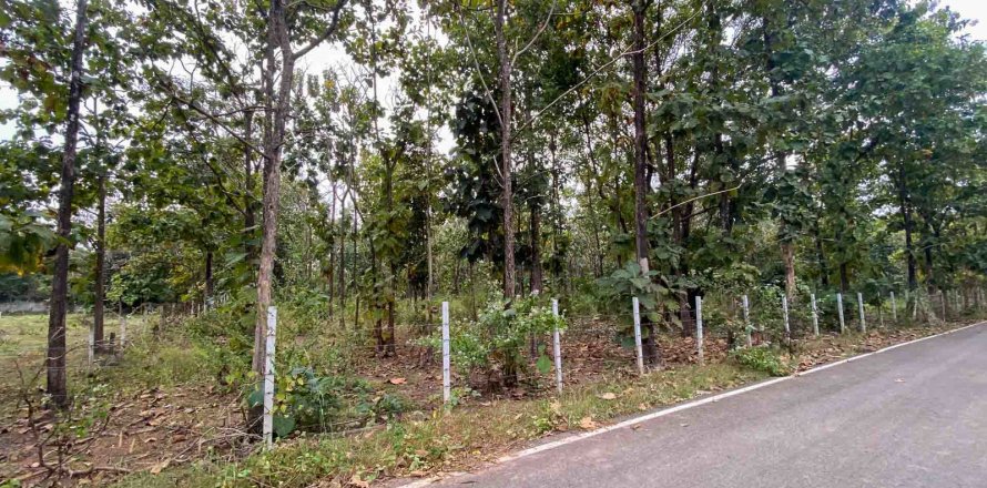 Terreno en Chiang Mai, Tailandia № 122827