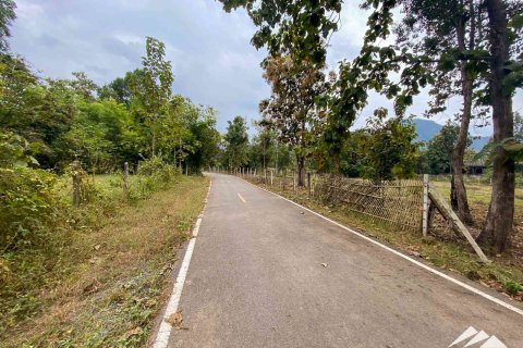 Terreno en Chiang Mai, Tailandia № 122827 - foto 5