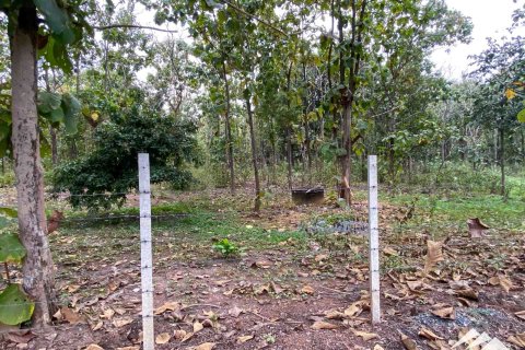 Terreno en Chiang Mai, Tailandia № 122827 - foto 3
