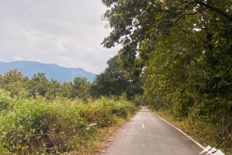 Terreno en Chiang Mai, Tailandia № 122827 - foto 11