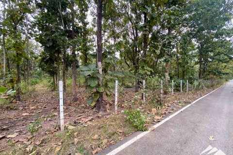 Terreno en Chiang Mai, Tailandia № 122827 - foto 7