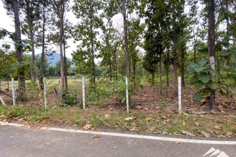Terreno en Chiang Mai, Tailandia № 122827 - foto 6