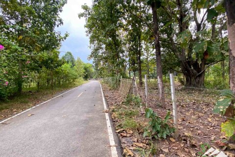 Terreno en Chiang Mai, Tailandia № 122827 - foto 8