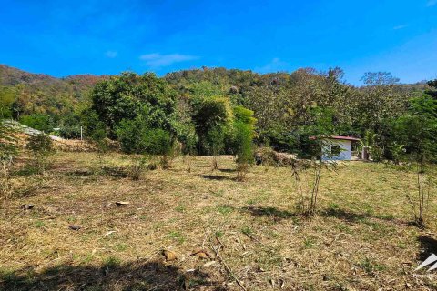 Terreno 50 m2 en Chiang Mai, Tailandia № 122816 - foto 13