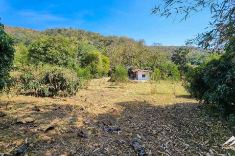 Terreno 50 m2 en Chiang Mai, Tailandia № 122816 - foto 12