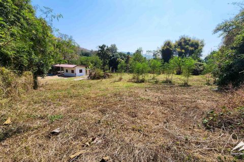 Terreno 50 m2 en Chiang Mai, Tailandia № 122816 - foto 11