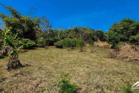 Terreno 50 m2 en Chiang Mai, Tailandia № 122816 - foto 10