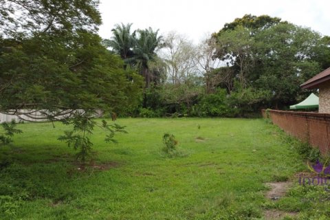 Terreno en Mae Rim, Tailandia № 132385 - foto 10