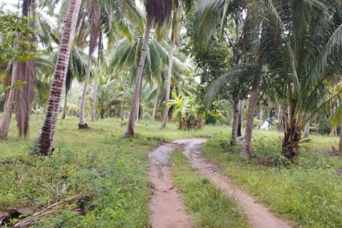 Terreno en Surat Thani, Tailandia № 115875 - foto 9