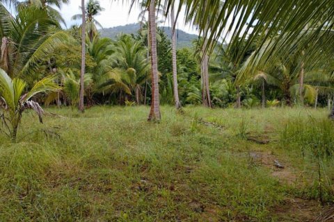 Terreno en Surat Thani, Tailandia № 115875 - foto 7