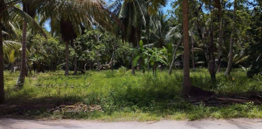 Terreno en Surat Thani, Tailandia № 115875