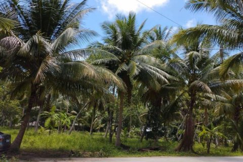Terreno en Surat Thani, Tailandia № 115875 - foto 8