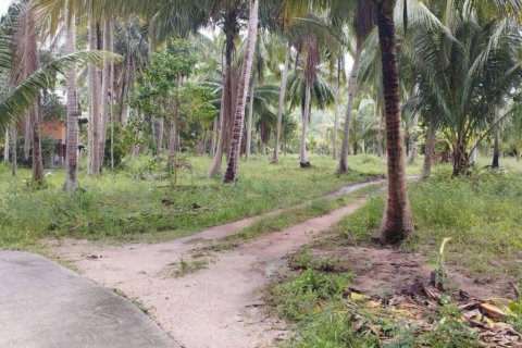Terreno en Surat Thani, Tailandia № 115875 - foto 10