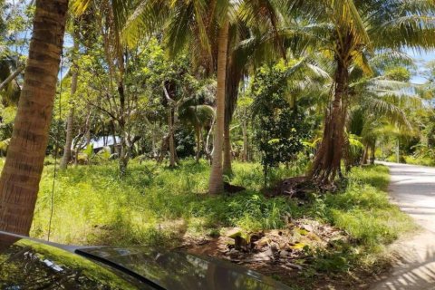 Terreno en Surat Thani, Tailandia № 115875 - foto 3