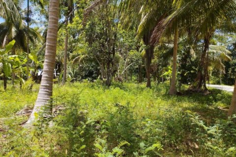 Terreno en Surat Thani, Tailandia № 115875 - foto 4