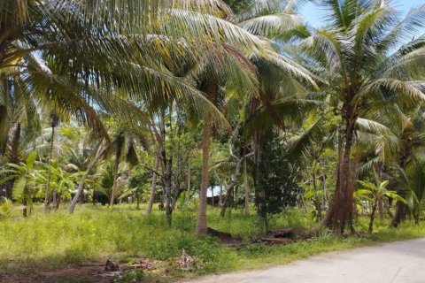 Terreno en Surat Thani, Tailandia № 115875 - foto 5